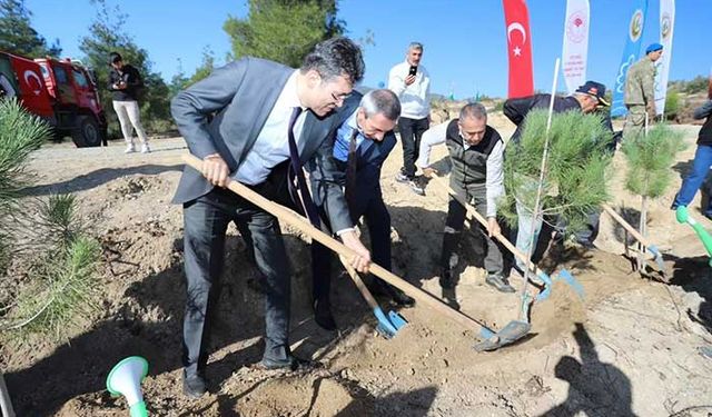 Mehmetçik Hatıra Ormanı’nda binlerce fidan toprakla buluştu