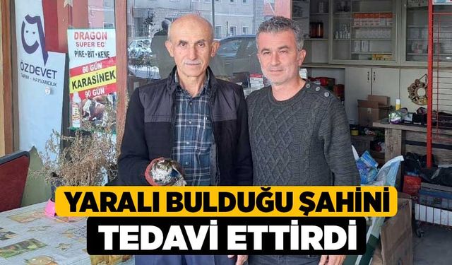 Yaralı bulduğu şahini tedavi ettirdi