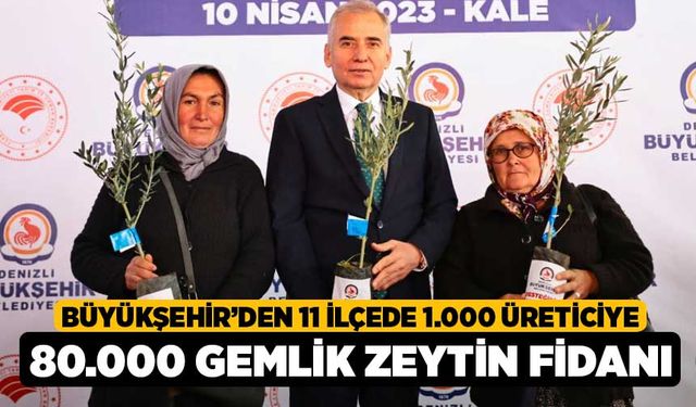 Büyükşehir’den 11 ilçede 1.000 üreticiye 80.000 Gemlik zeytin fidanı