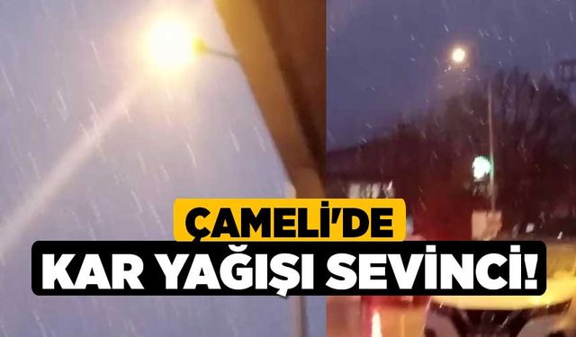 Çameli'de Kar Yağışı Sevinci!