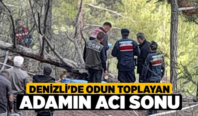 Denizli'de Odun toplayan adamın acı sonu