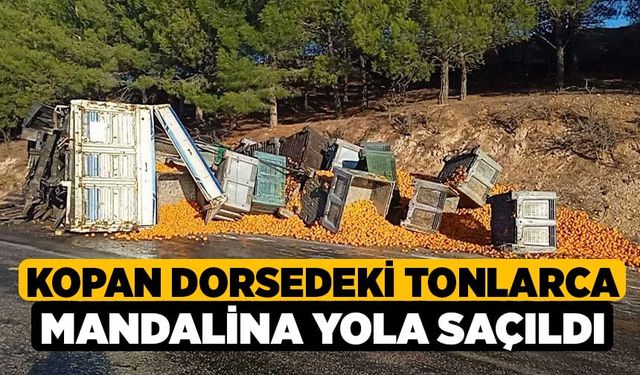 Kopan dorsedeki tonlarca mandalina yola saçıldı