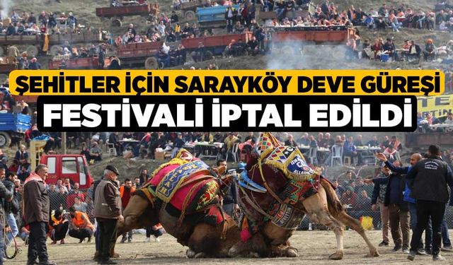 Şehitler için Sarayköy Deve Güreşi Festivali iptal edildi