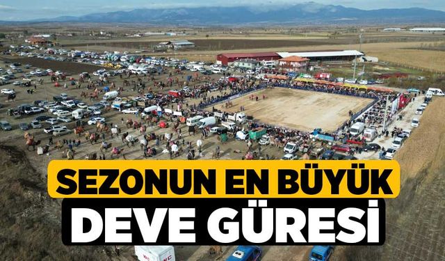 Sezonun En Büyük Deve Güreşi