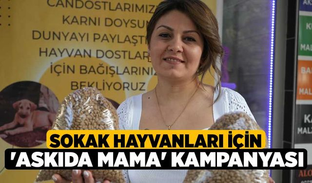 Sokak hayvanları için 'Askıda mama' kampanyası