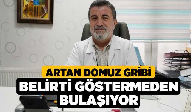 Artan domuz gribi belirti göstermeden bulaşıyor