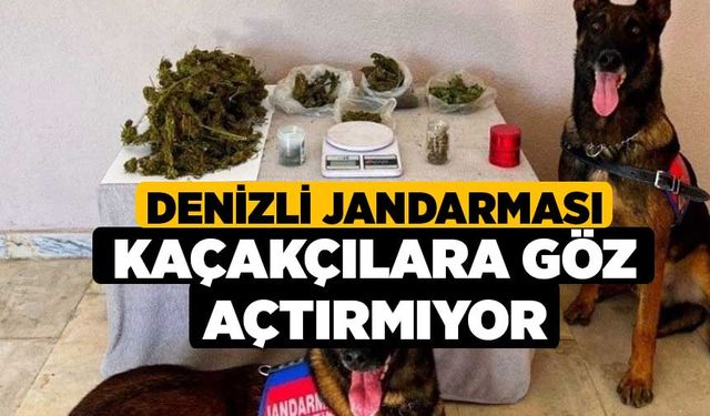 Denizli jandarması kaçakçılara göz açtırmıyor