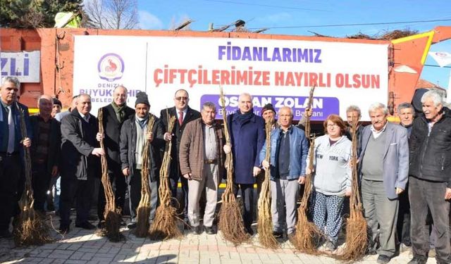 Denizli, Türkiye'nin ceviz üretim merkezi olma yolunda ilerliyor