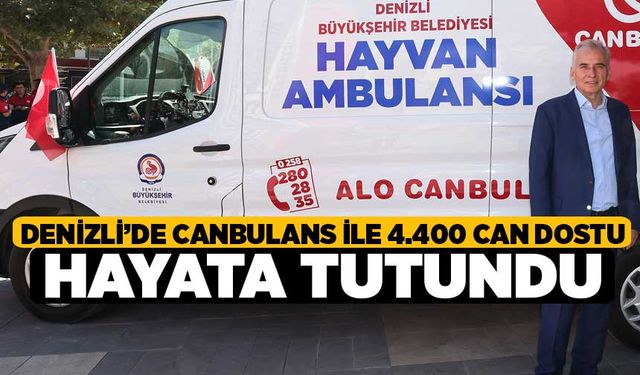 Denizli'de Canbulans ile 4.400 can dostu hayata tutundu 