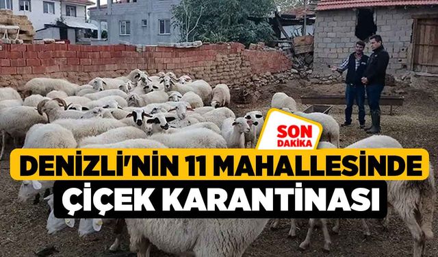 Denizli'nin 11 mahallesinde çiçek karantinası