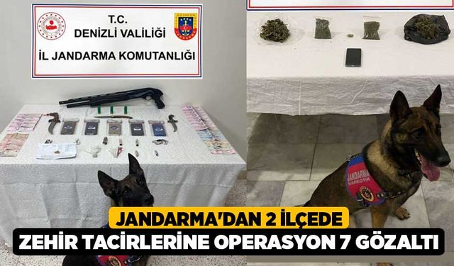 Jandarma'dan 2 ilçede zehir tacirlerine operasyon 7 gözaltı