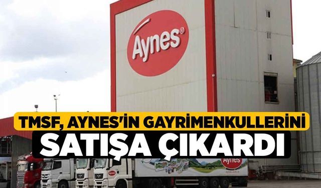 TMSF, Aynes'in Gayrimenkullerini Satışa Çıkardı