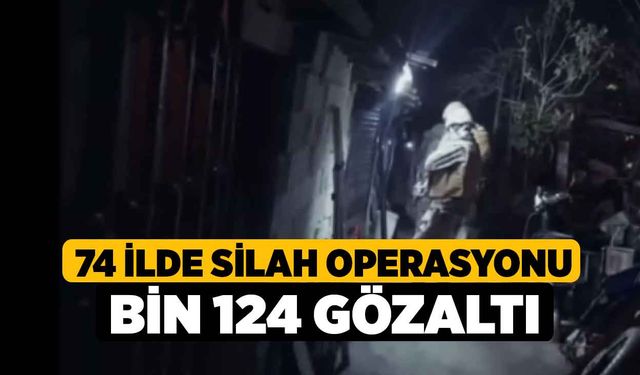 Denizli Dahil 74 ilde silah operasyonu bin 124 gözaltı