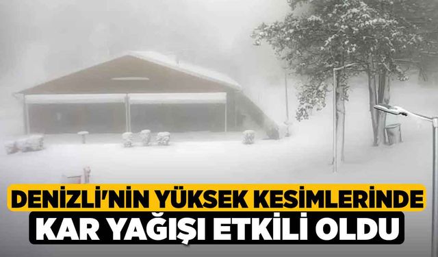 Denizli'nin yüksek kesimlerinde kar yağışı etkili oldu