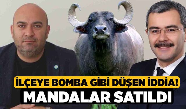 İlçeye Bomba Gibi Düşen İddia! Mandalar Satıldı