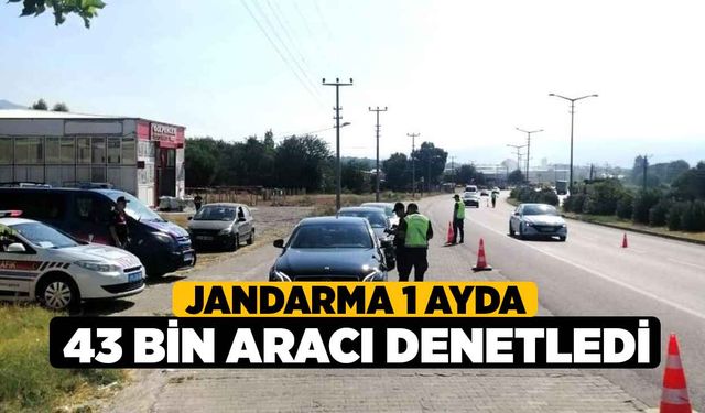 Jandarma 1 ayda 43 bin aracı denetledi