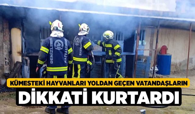 Kümesteki hayvanları yoldan geçen vatandaşların dikkati kurtardı