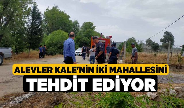 Alevler Kale'nin İki Mahallesini Tehdit Ediyor