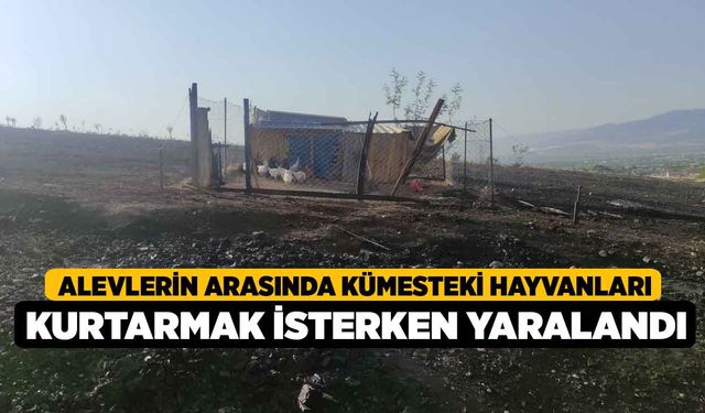 Alevlerin arasında kümesteki hayvanları kurtarmak isterken yaralandı