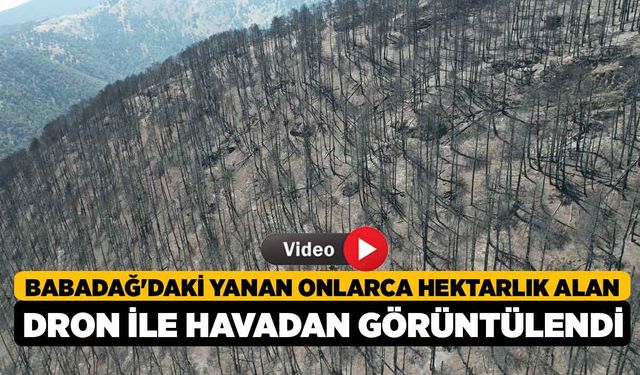 Babadağ'daki Yanan Onlarca Hektarlık Alan Dron ile Havadan Görüntülendi