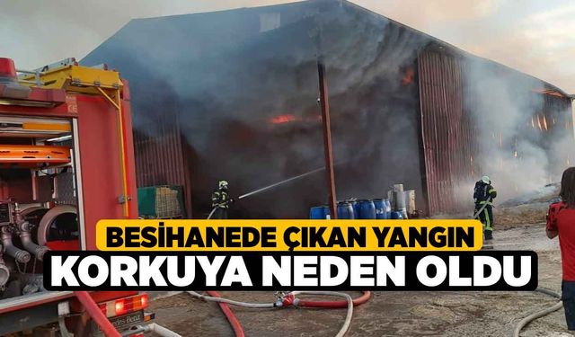 Besihanede çıkan yangın korkuya neden oldu