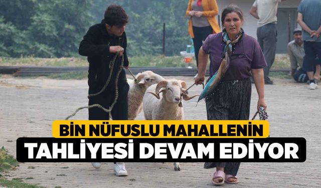 Bin nüfuslu mahallenin tahliyesi devam ediyor