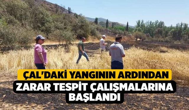 Çal'daki yangının ardından zarar tespit çalışmalarına başlandı