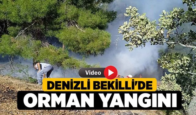 Denizli Bekilli'de Orman Yangını