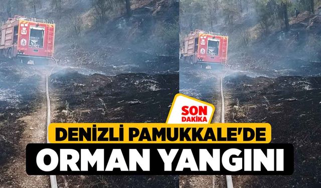 Denizli Pamukkale'de Orman Yangını