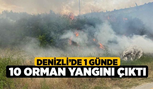 Denizli’de 1 günde 10 orman yangını çıktı