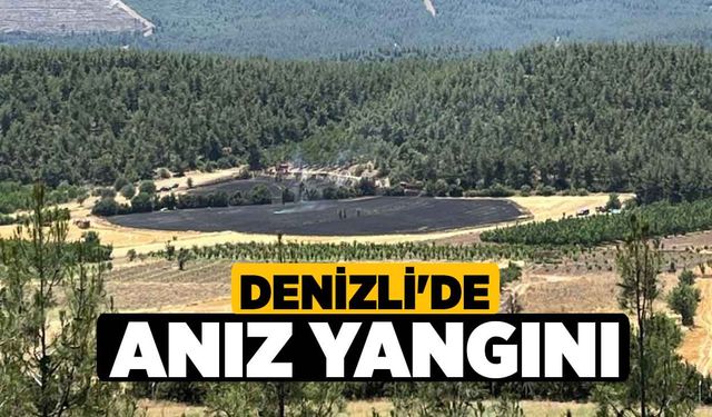 Denizli Honaz'da Anız Yangını