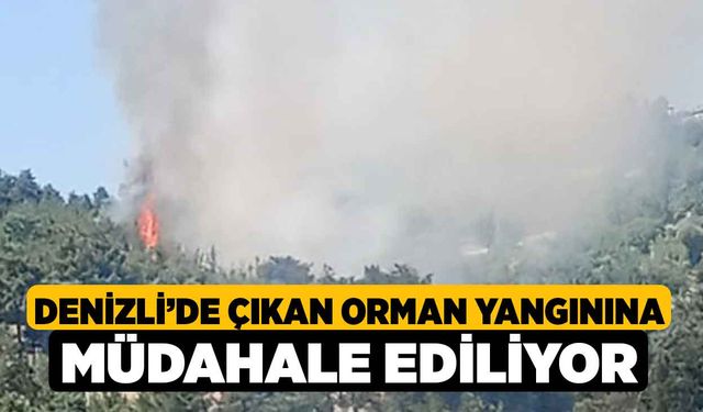 Denizli’de çıkan orman yangınına müdahale ediliyor