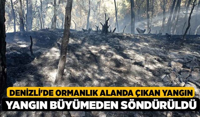 Denizli'de ormanlık alanda çıkan yangın büyümeden söndürüldü