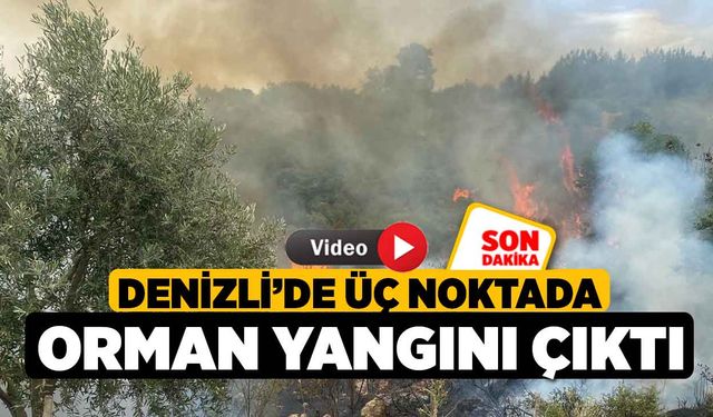 Denizli’de üç noktada orman yangını çıktı