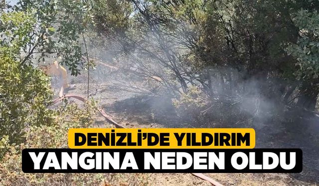 Denizli’de yıldırım yangına neden oldu