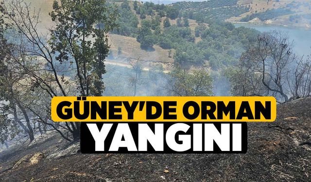 Güney'de Orman Yangını