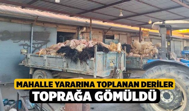 Mahalle Yararına Toplanan Deriler Toprağa Gömüldü