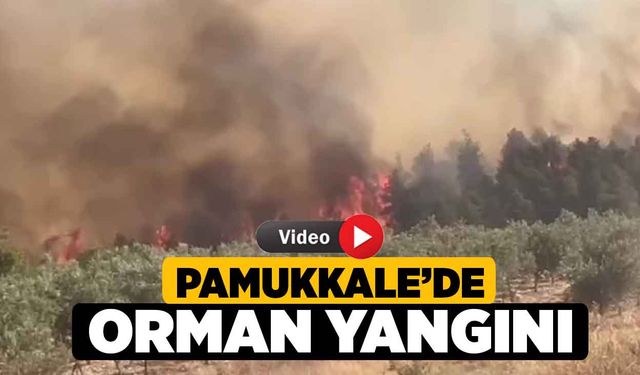 Pamukkale’de Orman Yangını