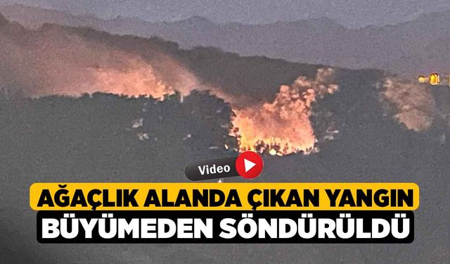 Ağaçlık alanda çıkan yangın büyümeden söndürüldü