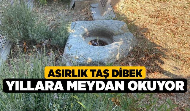 Asırlık taş dibek yıllara meydan okuyor