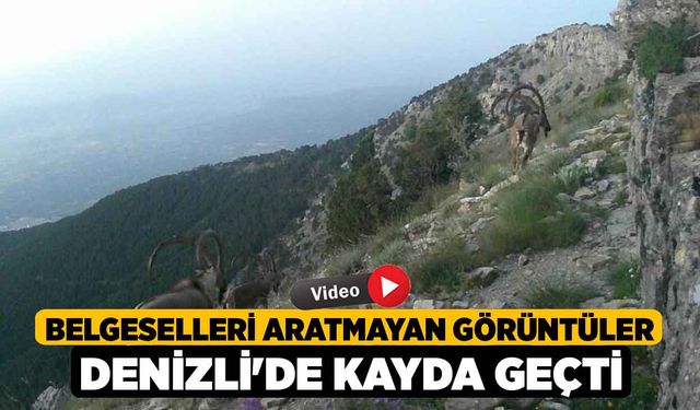 Belgeselleri aratmayan görüntüler Denizli'de kayda geçti