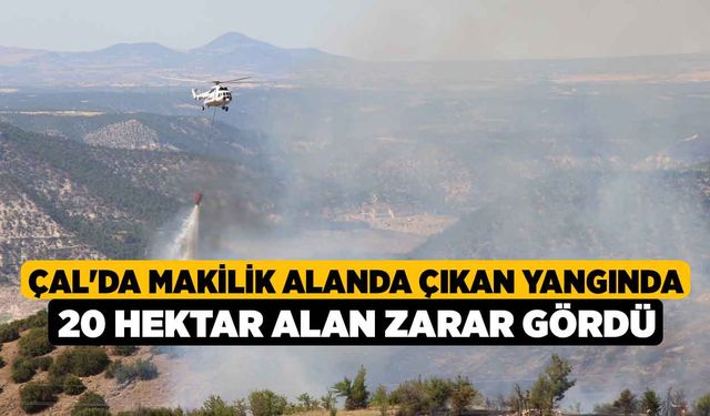 Çal'da makilik alanda çıkan yangında 20 hektar alan zarar gördü