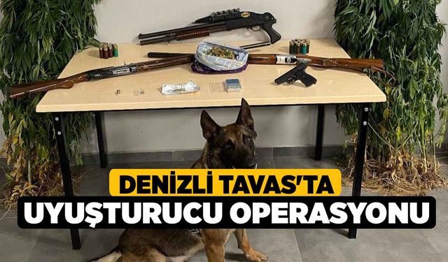 Denizli Tavas'ta Uyuşturucu Operasyonu