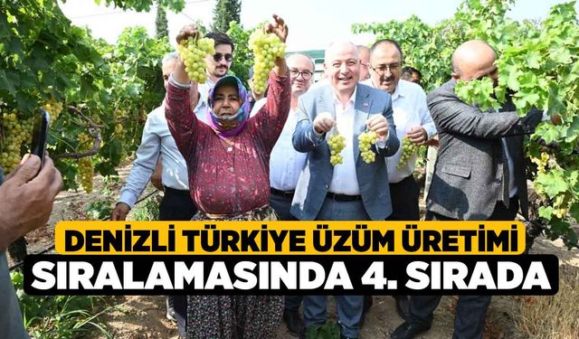 Denizli Türkiye Üzüm Üretimi Sıralamasında 4. Sırada