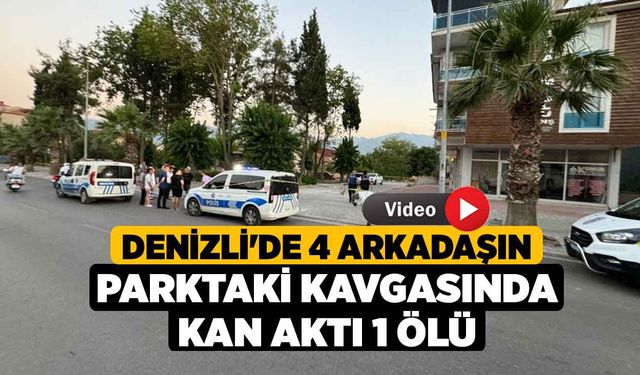 Denizli'de 4 Arkadaşın Parktaki Kavgasında Kan Aktı