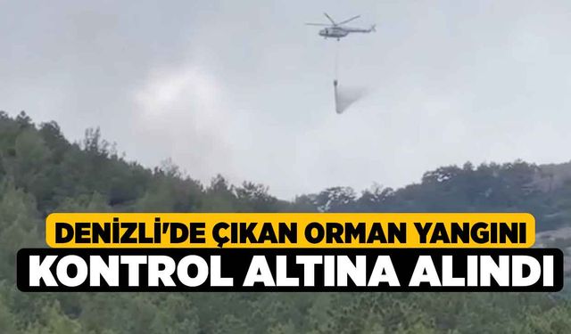 Denizli'de çıkan orman yangını kontrol altına alındı