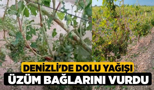 Denizli Güney'de dolu yağışı üzüm bağlarını vurdu