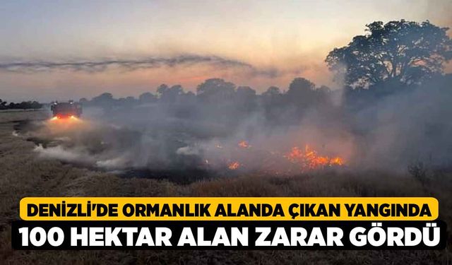 Denizli'de Ormanlık Alanda Çıkan Yangında 100 Hektar Alan Zarar Gördü