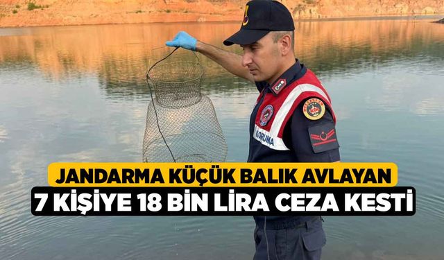 Jandarma küçük balık avlayan 7 kişiye 18 bin lira ceza kesti