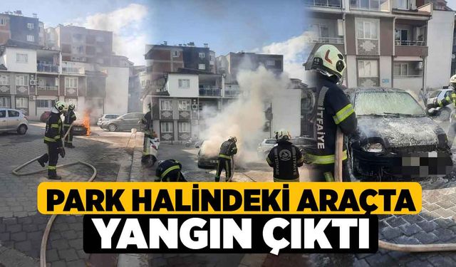 Park halindeki araçta yangın çıktı